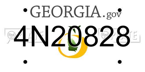4N20828 Georgia License Plate