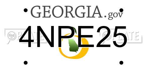 4NPE25 Georgia License Plate