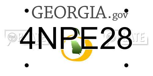 4NPE28 Georgia License Plate