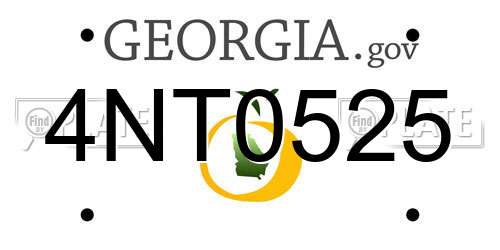 4NT0525 Georgia License Plate