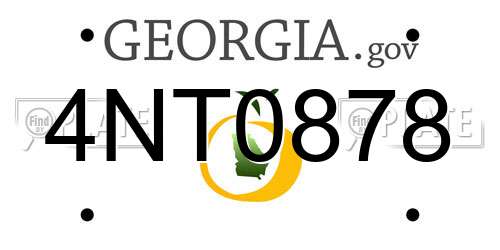 4NT0878 Georgia License Plate