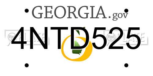 4NTD525 Georgia License Plate