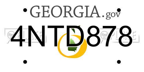 4NTD878 Georgia License Plate