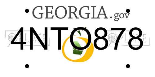4NTO878 Georgia License Plate