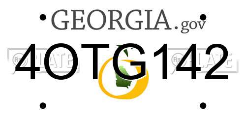 4OTG142 Georgia License Plate