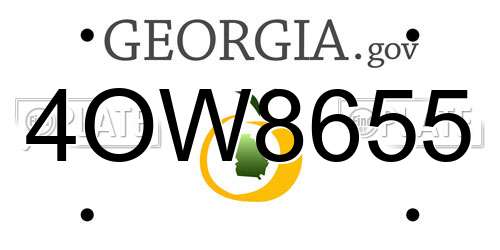 4OW8655 Georgia License Plate