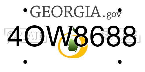 4OW8688 Georgia License Plate