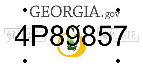 4P89857 Georgia License Plate