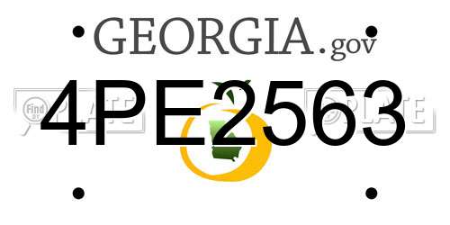 4PE2563 Georgia License Plate