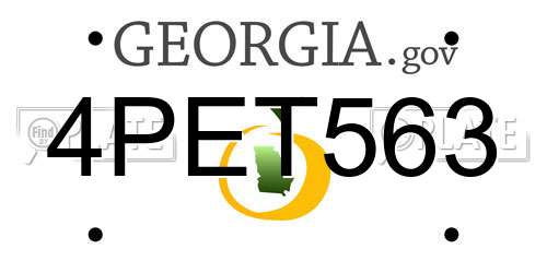 4PET563 Georgia License Plate