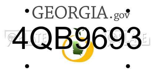 4QB9693 Georgia License Plate