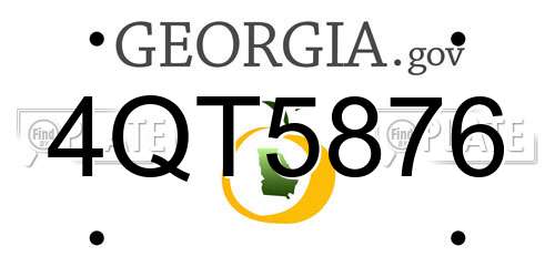 4QT5876 Georgia License Plate