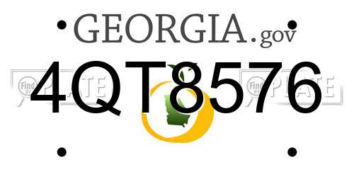 4QT8576 Georgia License Plate