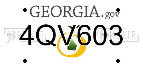 4QV603 Georgia License Plate