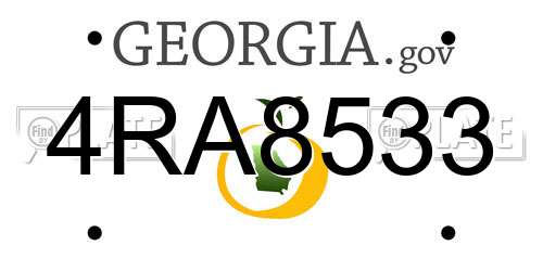 4RA8533 Georgia License Plate