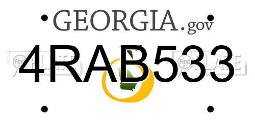 4RAB533 Georgia License Plate