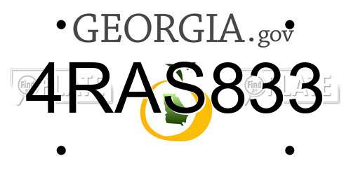 4RAS833 Georgia License Plate