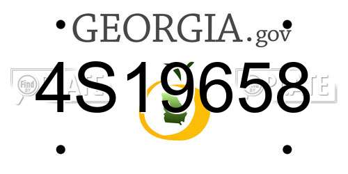 4S19658 Georgia License Plate