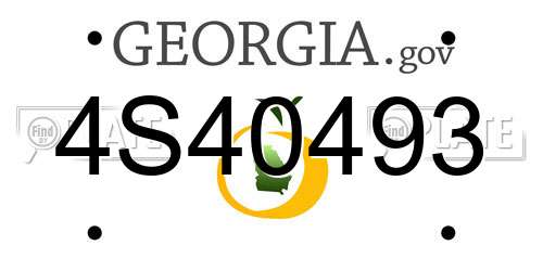 4S40493 Georgia License Plate