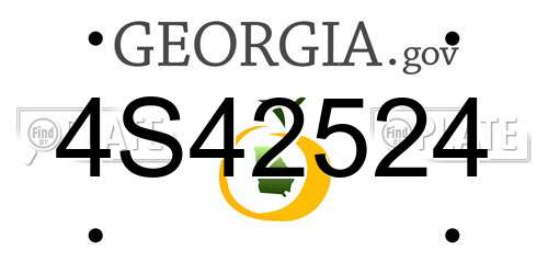 4S42524 Georgia License Plate