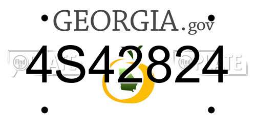 4S42824 Georgia License Plate