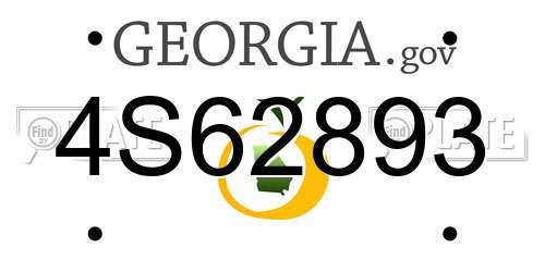4S62893 Georgia License Plate