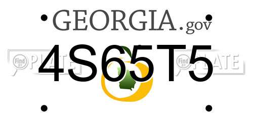 4S65T5 Georgia License Plate