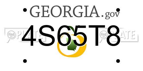 4S65T8 Georgia License Plate