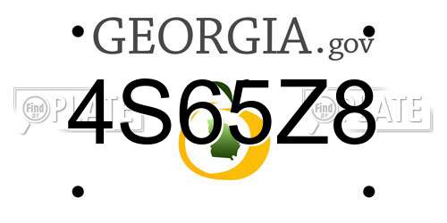 4S65Z8 Georgia License Plate