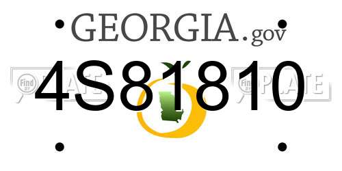4S81810 Georgia License Plate