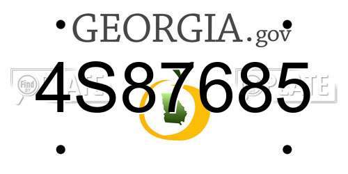 4S87685 Georgia License Plate