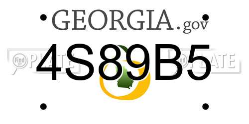 4S89B5 Georgia License Plate