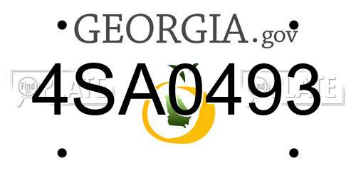 4SA0493 Georgia License Plate
