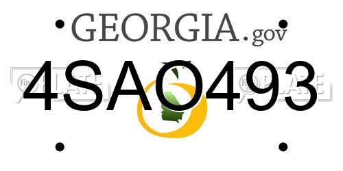 4SAO493 Georgia License Plate