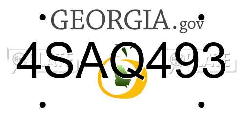 4SAQ493 Georgia License Plate
