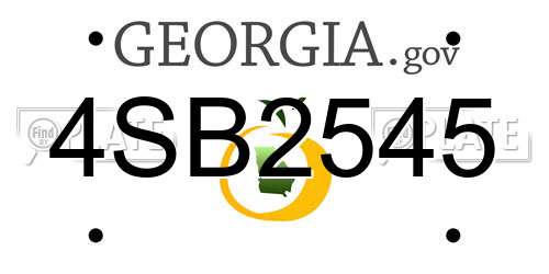 4SB2545 Georgia License Plate
