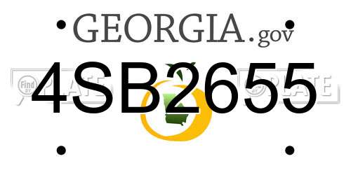 4SB2655 Georgia License Plate