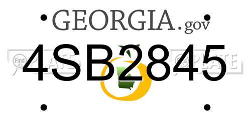 4SB2845 Georgia License Plate