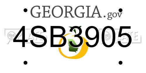 4SB3905 Georgia License Plate
