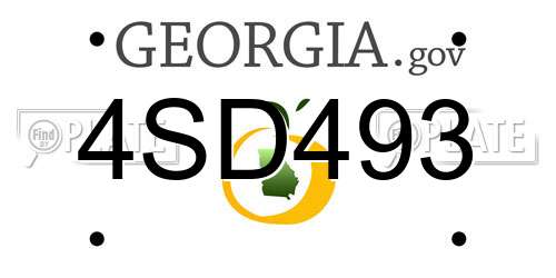 4SD493 Georgia License Plate
