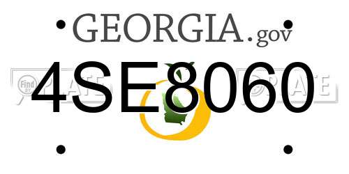 4SE8060 Georgia License Plate