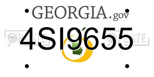 4SI9655 Georgia License Plate