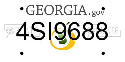 4SI9688 Georgia License Plate