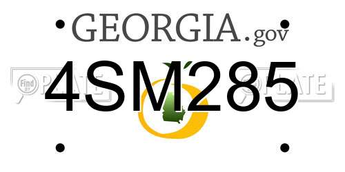 4SM285 Georgia License Plate
