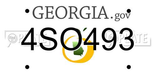 4SO493 Georgia License Plate
