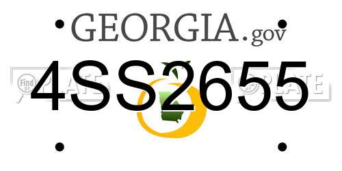 4SS2655 Georgia License Plate
