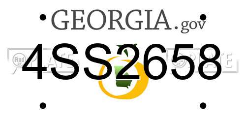 4SS2658 Georgia License Plate