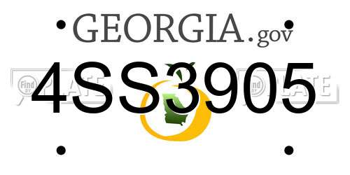 4SS3905 Georgia License Plate