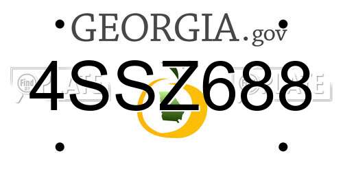 4SSZ688 Georgia License Plate