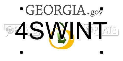 4SWINT Georgia License Plate